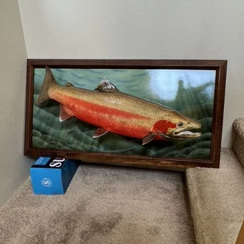 Dave Smith framed steelhead replica