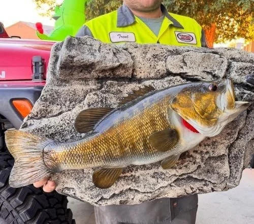 Skinner Bait Company meanmouth bass replica on rock background