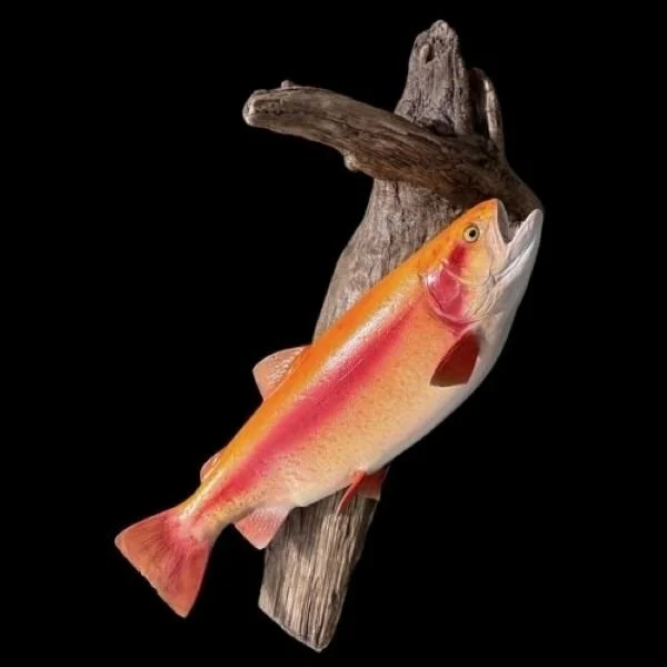 Golden Trout taxidermy driftwood