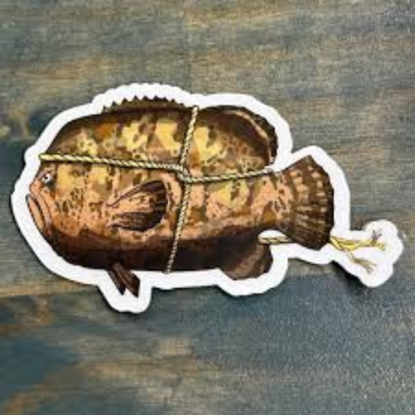 Old City Fly Shop Square Grouper decal