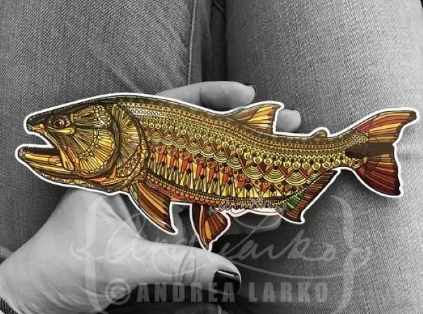 Andrea Larko golden dorado decal