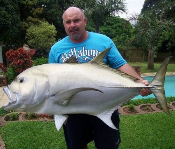 Proud angler holding GT fish mount