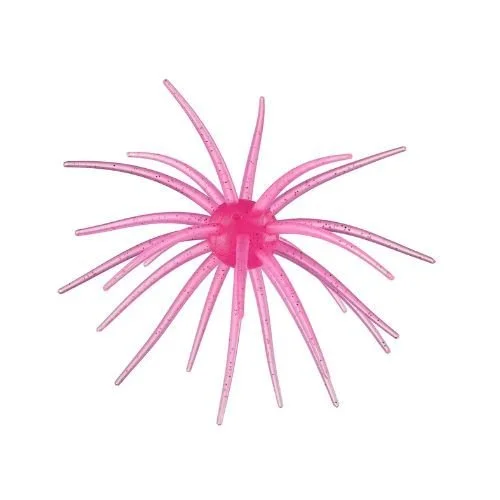 Hag's Prickly Pear Brazos Dawn pink