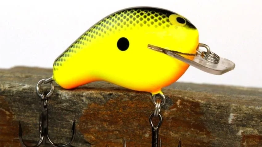 Chartreuse black back balsa squarebill crankbait