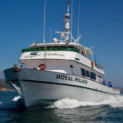 Royal Polaris Long Range Boat