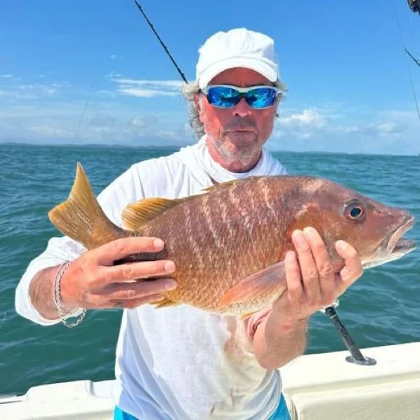 Yellow snapper Panama Pacific ocean