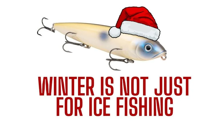 Strike King KVD Sexy Dawg with a Santa Hat