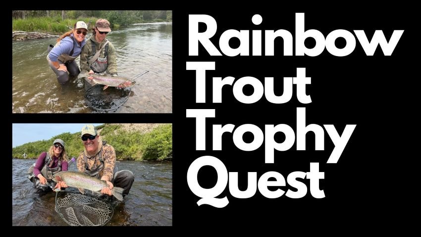 Dual Alaska rainbow trout 27 inches summer 2026