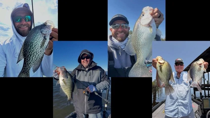 collage of bass pros holding crappie
