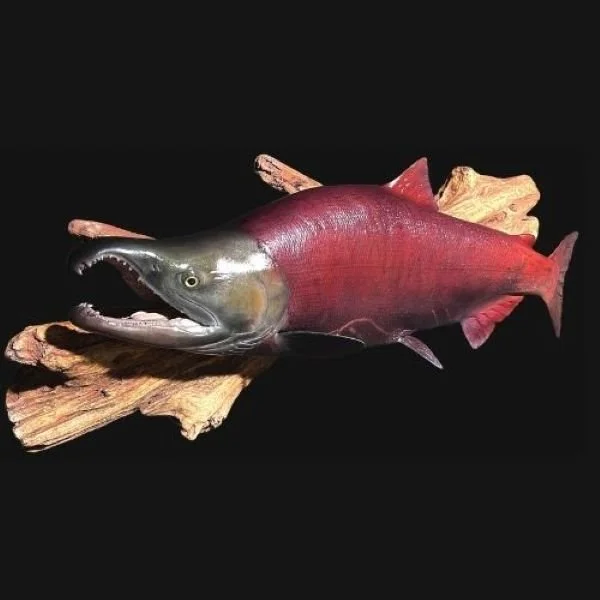 Kraus Fish Artistry Sockeye on Driftwood