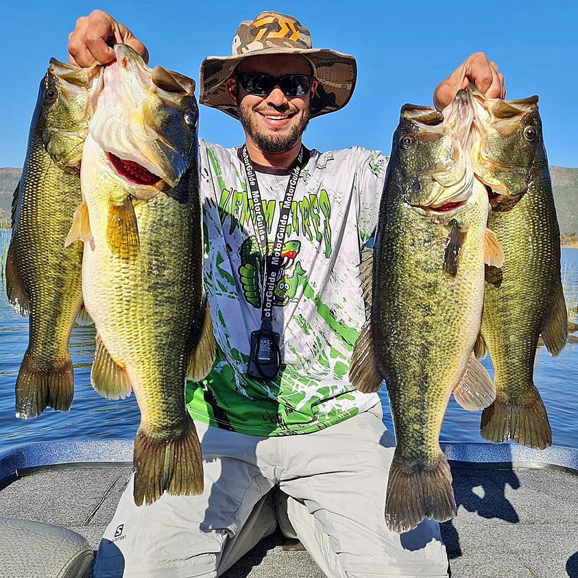 Trophy angler Wayne Naude with four bass caught while drop-shotting a pearl Terror Craw in twenty feet of water. Two of the bass are more than eight pounds.