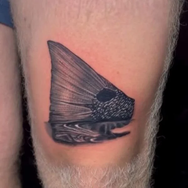 Black/white tailing redfish tattoo reflection