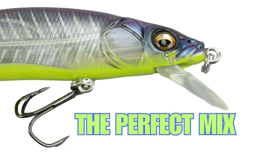 Front of a Megabass Vision 110 Elegy Bone