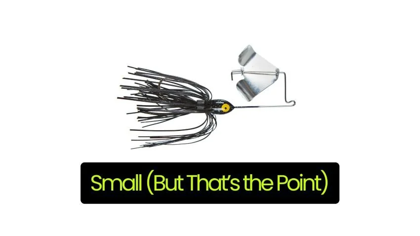 1/8 ounce Strike King Pond Buzzbait