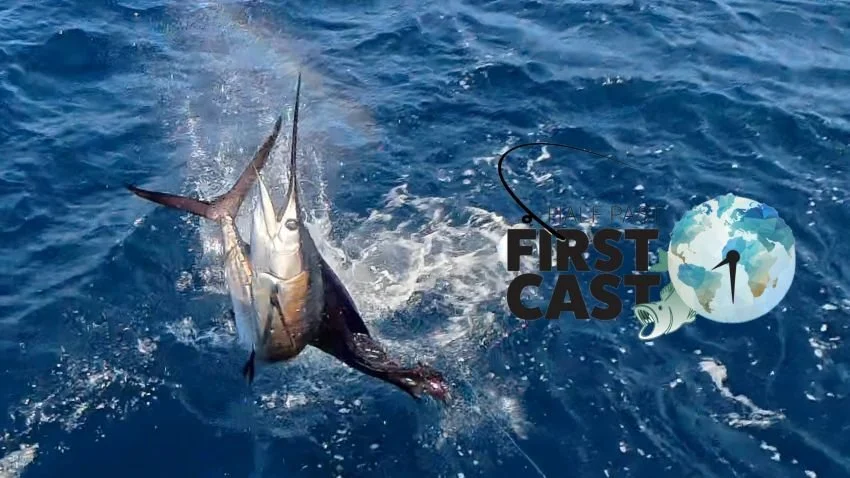 Leaping sailfish over blue Pacific Ocean