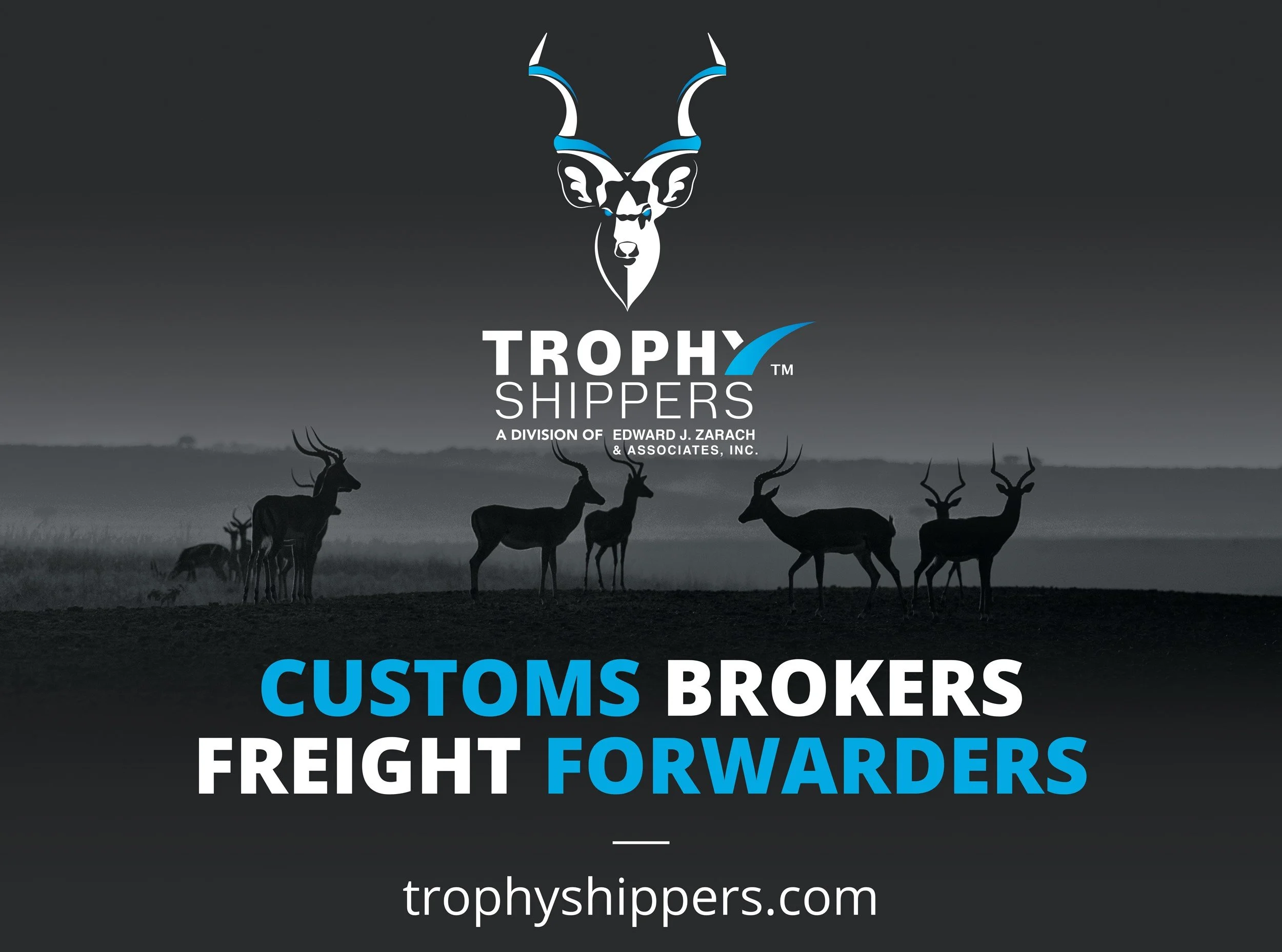 trophy shippers expert taxidermy movers