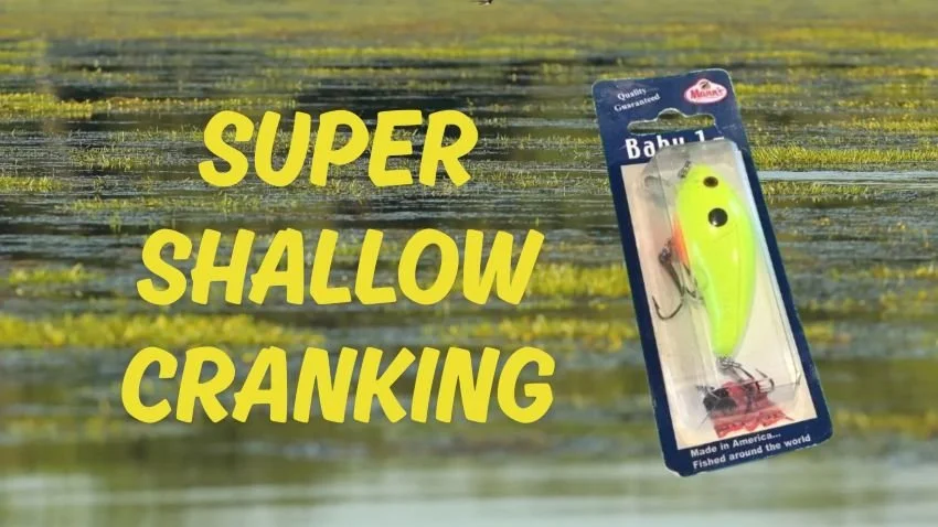 Mann's Baby 1 Minus over shallow milfoil grass