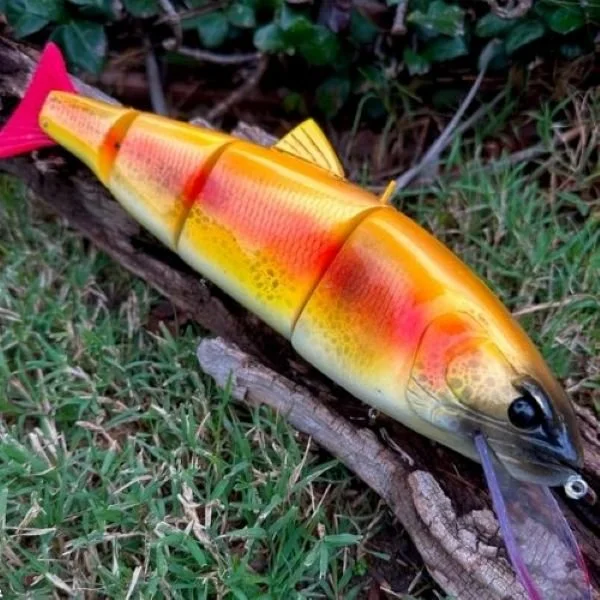 Legal Dope swimbaits four-piece golden palomino trout