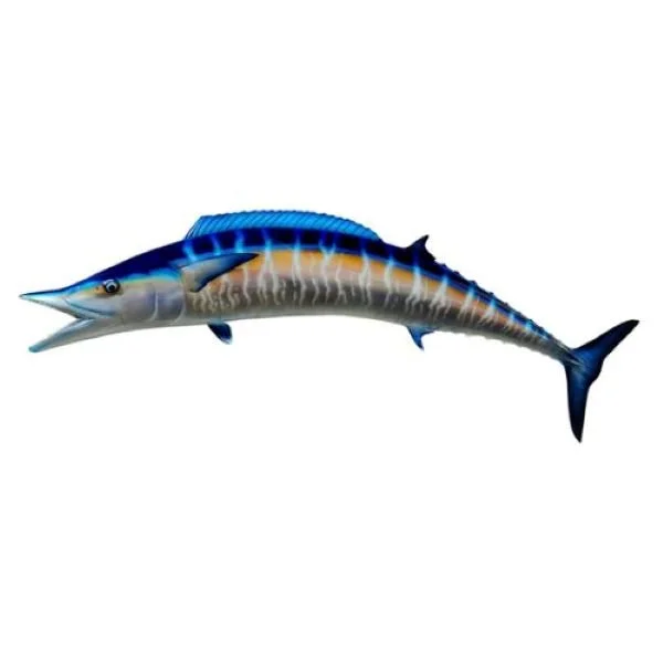 King Sailfish Arched Wahoo Trophy Mount
