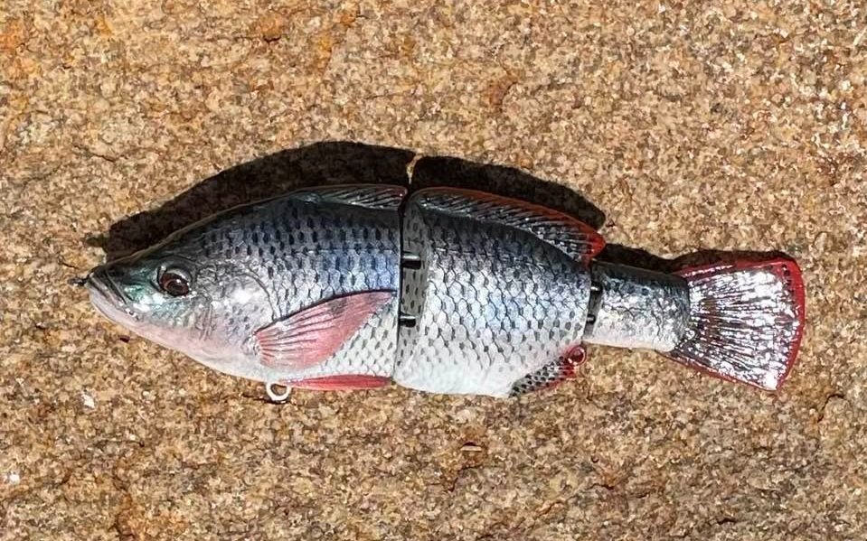 Just When You Thought We Couldn't Find Any More Tilapia Lures