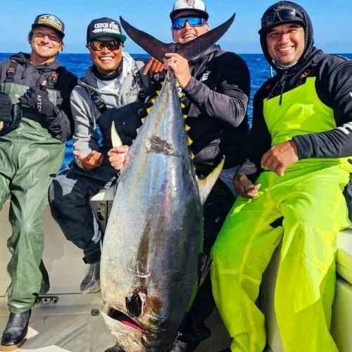 Oliver Ngy and Ben Milliken California Bluefin tuna