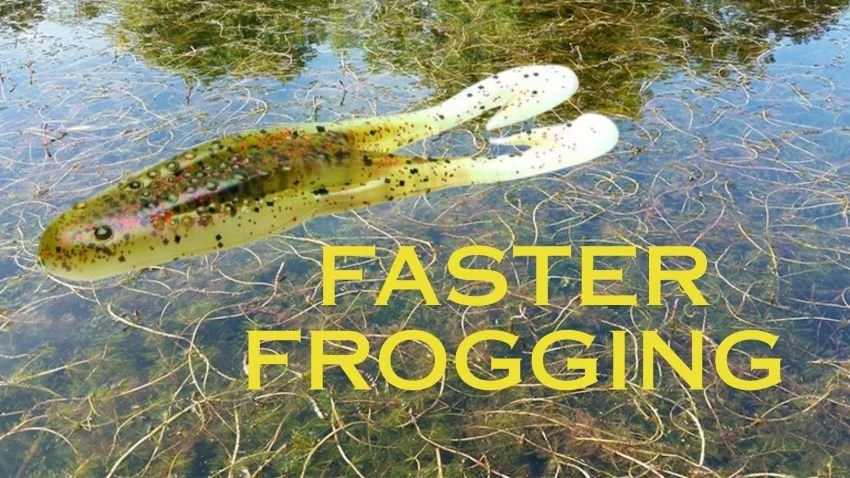Watermelon Pearl Zoom Horny Toad over Milfoil