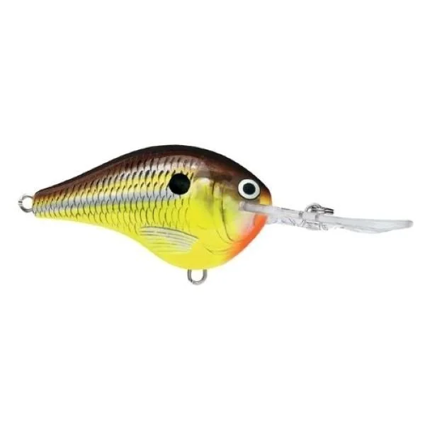 Rapala "Dives To" DT Crankbait Hot Mustard