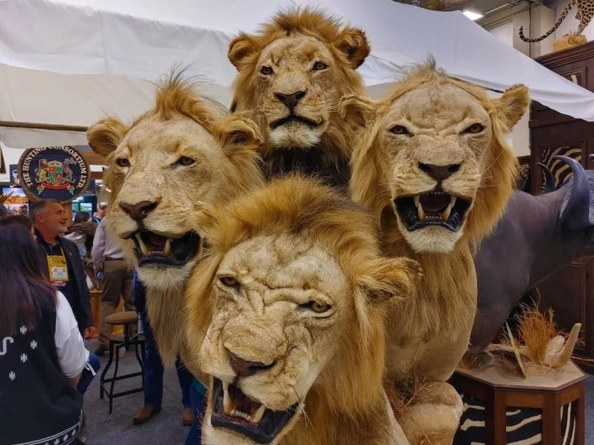 Notes from the 2022 Dallas Safari Club Convention — Half Past First Cast