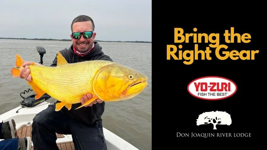 Yo-Zuri's Chris Bishop with a Golden Dorado in Argentina