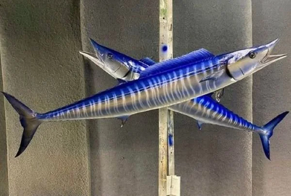 New Wave Taxidermy Twin Wahoos