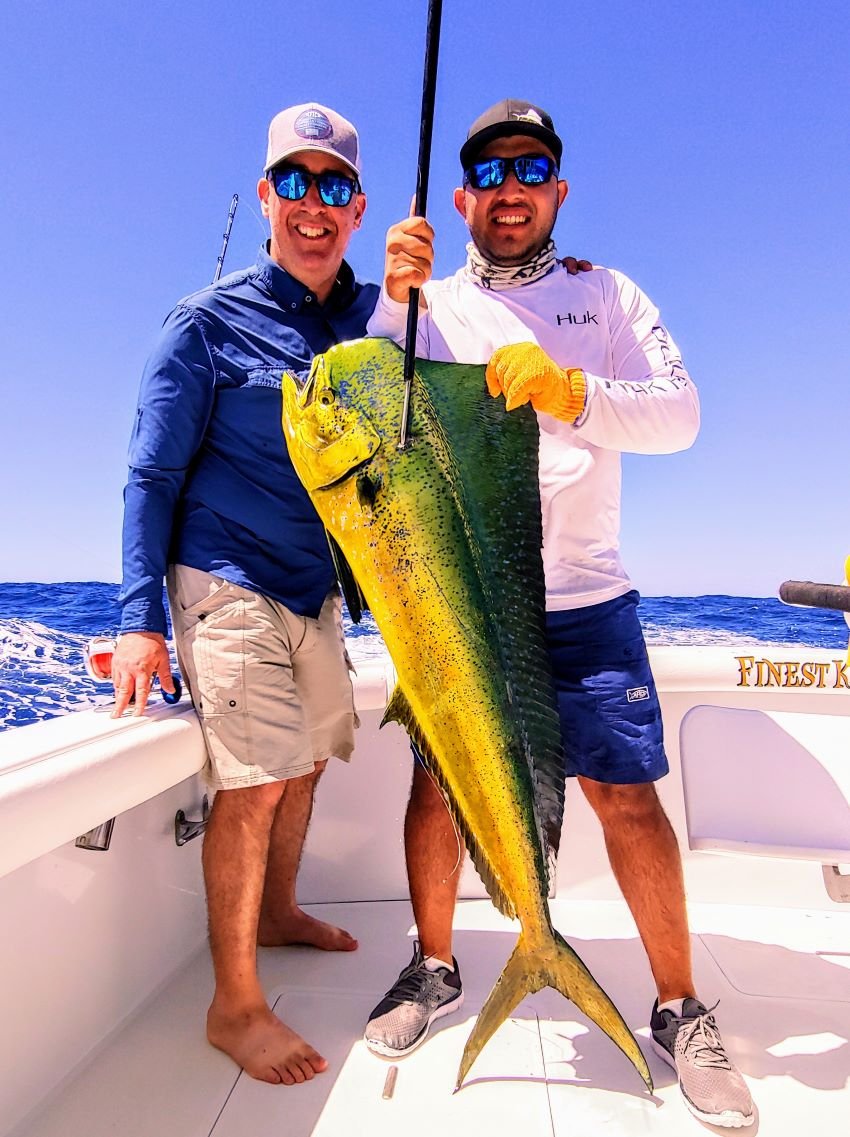 Is the Mahi Mahi the Greatest Gamefish in the World? — Half Past