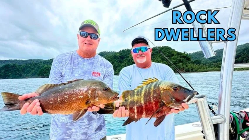 Cubera snapper and pargo in Gulf of Chiriqui Panama