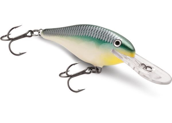 Eight Hard Baits for Mexico – Situational and Suspected — Half