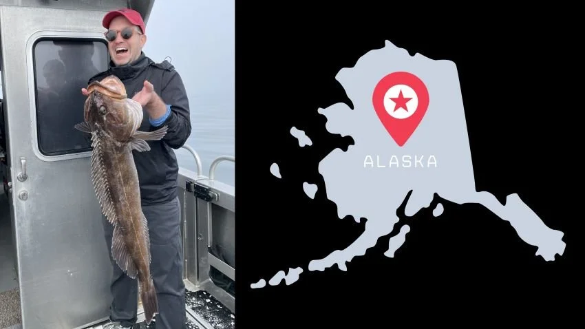 Lingcod caught in Seward Alaska
