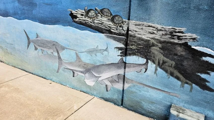Paddlefish mural Grove, Oklahoma