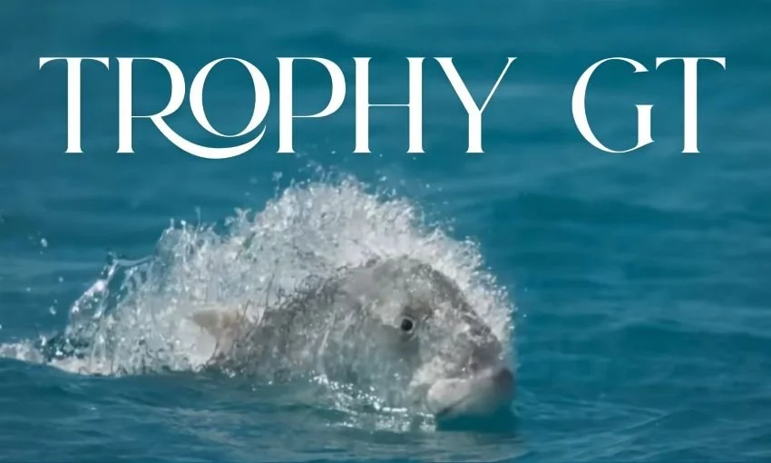 Trophy Giant Trevally chasing sooty tern