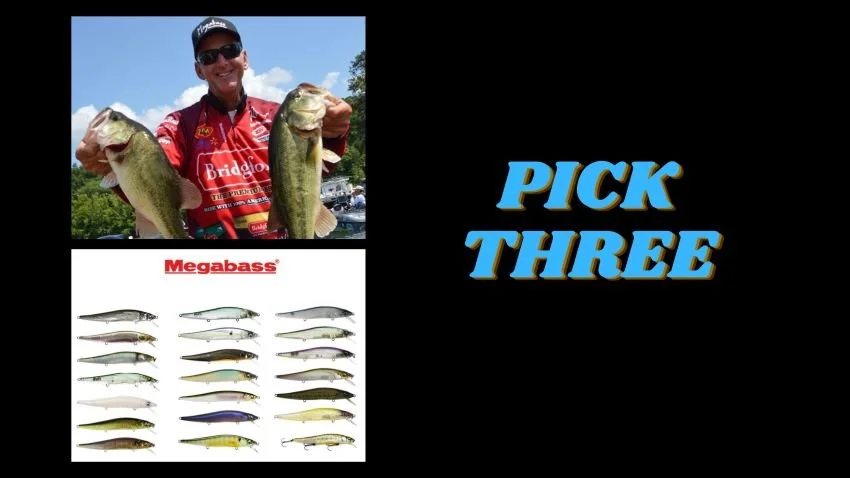 Randy Blaukat's favorite Megabass Vision 110 color patterns