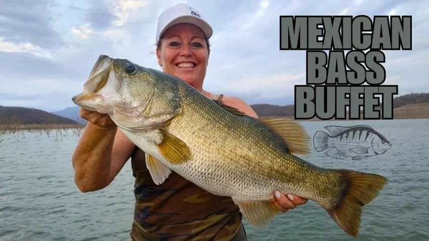big bass caught in Mexico on tilapia-colored crankbait