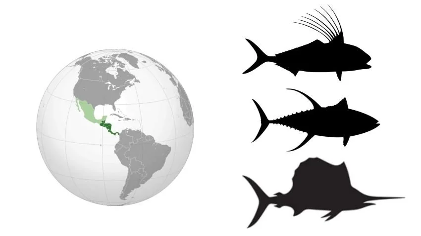 map of Central America with roosterfish, yellowfin tuna and sailfish silhouettes