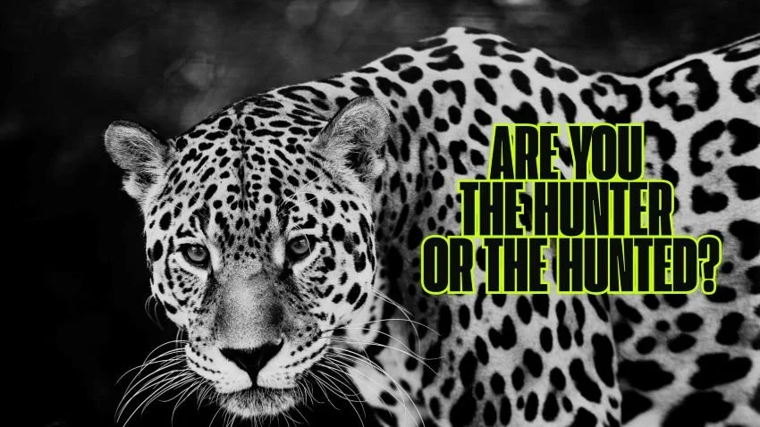 black and white photo of Amazon jaguar staring at the camera