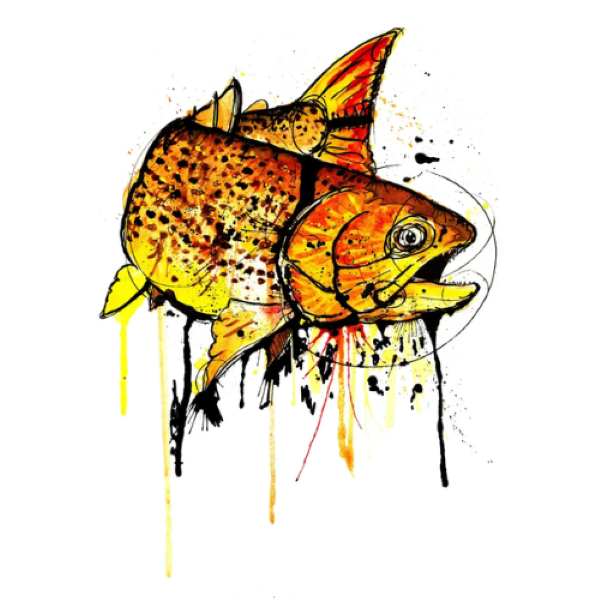 Ryan Keene Art Golden Dorado