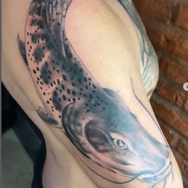 Mauri Barroso Tattoo Surubim Catfish