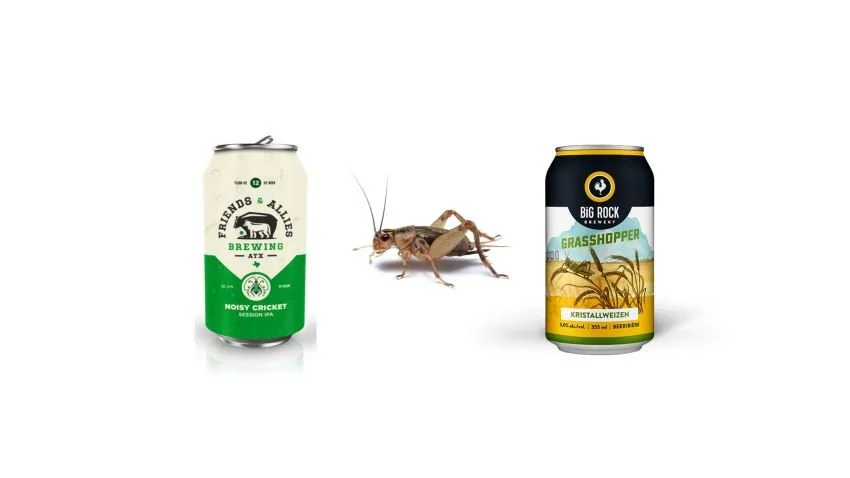 Noisy cricket session ipa and big rock brewery grasshopper