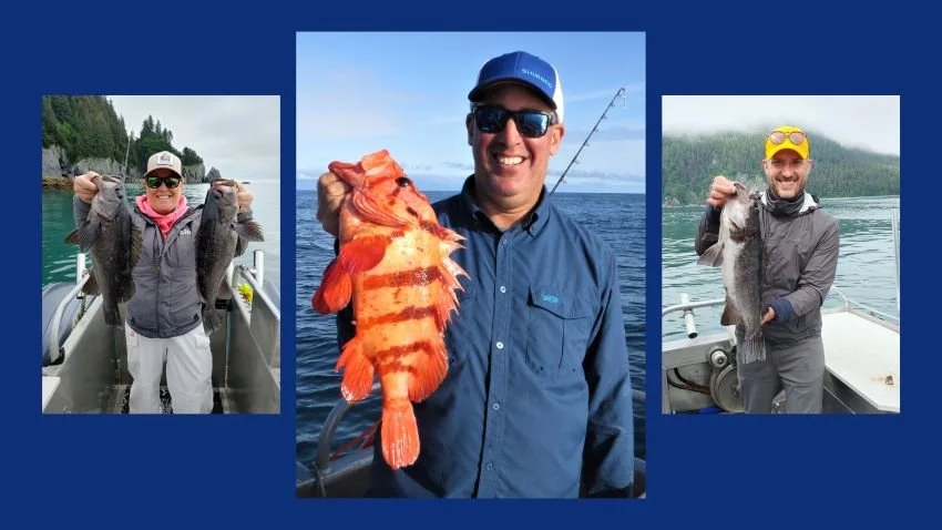 black rockfish and canary rockfish caught Seward Alaska