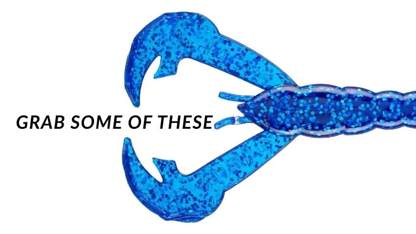 Blue sapphire Strike King Rage Craw pincers