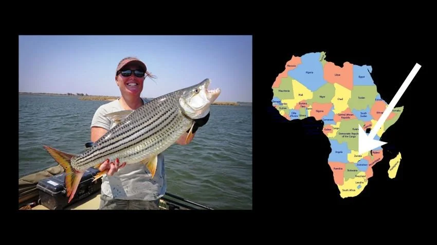 Zambezi River Trophy Tigerfish