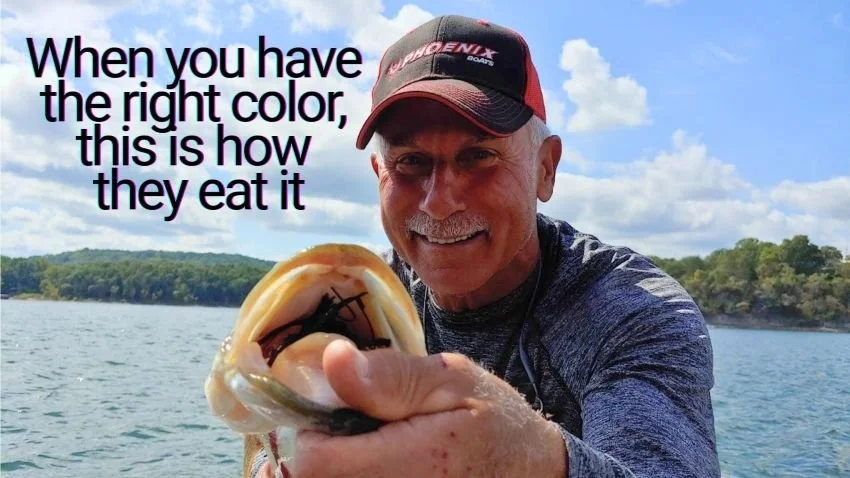 Fishing guide Dave Mansue with a bass caught on a jig in Missouri