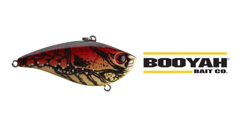 Booyah One Knocker Toledo Gold lipless crankbait