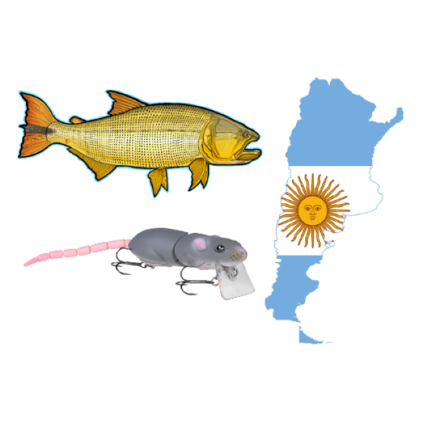 Fishing for Golden Dorado with SPRO Rat in Argentina