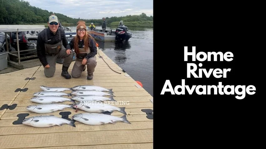 Two limits of coho salmon from Naknek River August 2026